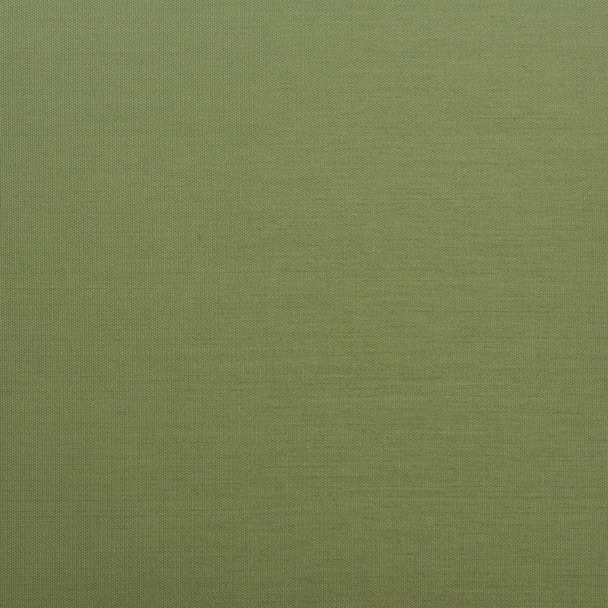 Skye Dining Chair (Set of 2) Green