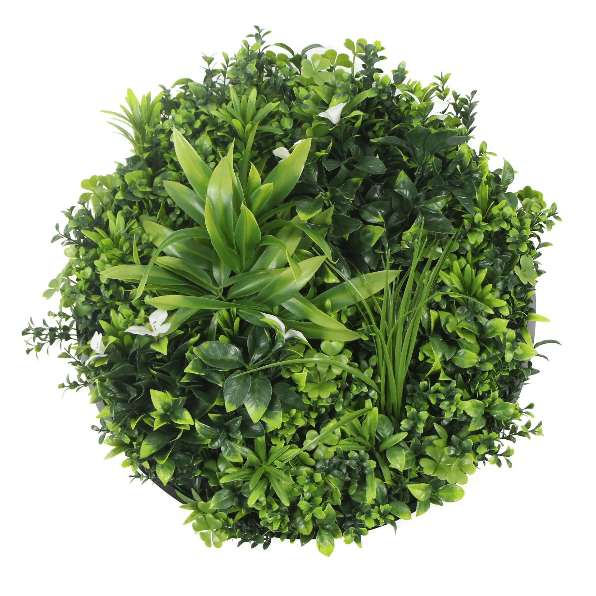 Artificial Green Wall Disc 30in – Black Frame – UV Resistant – Commercial Grade