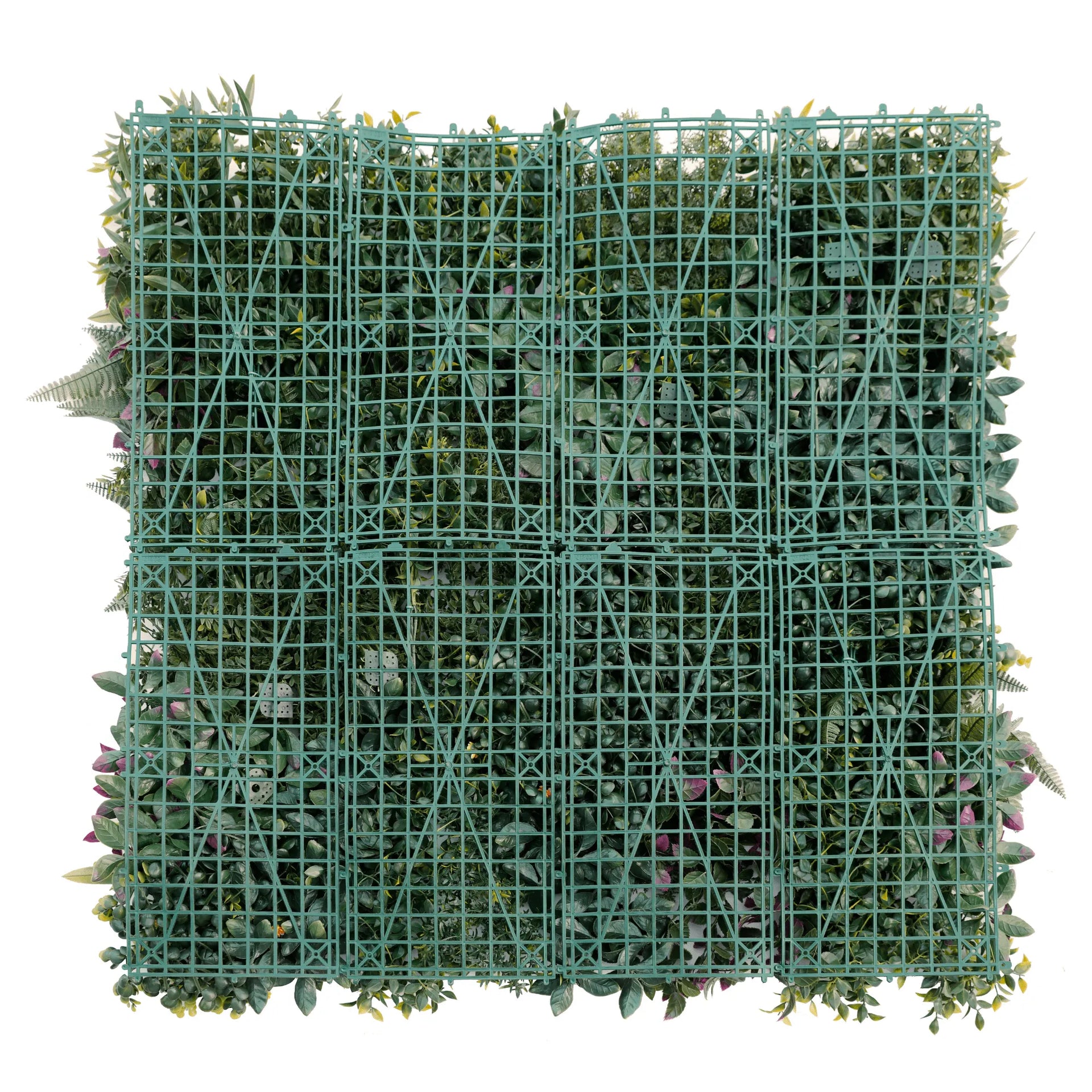 Sample Panel – Country Fern Vertical Garden (Small Sample)