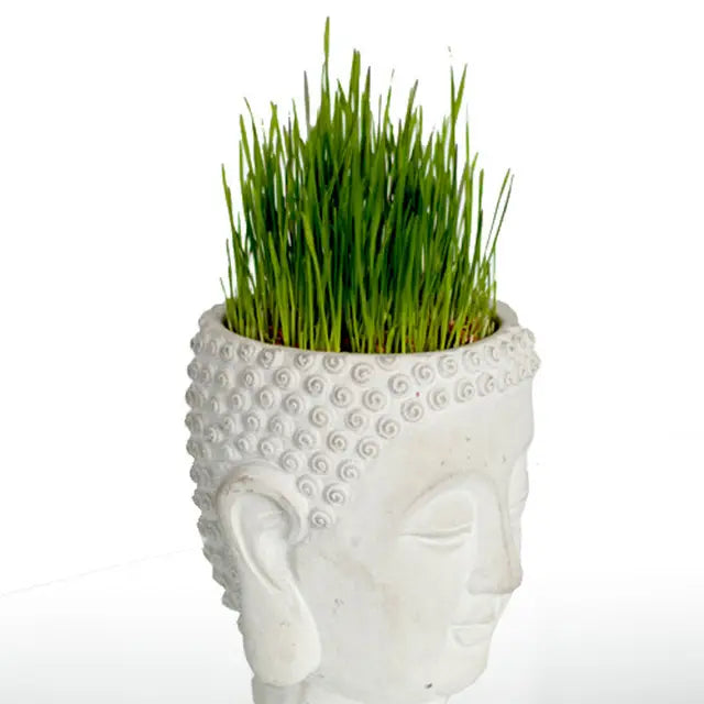 Cement Buddha Head Planter