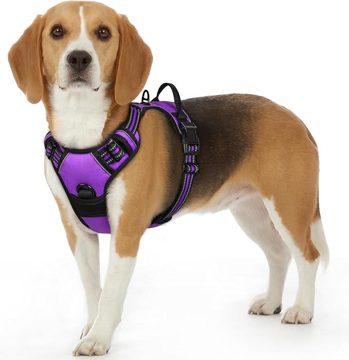 Eagloo Dog Harness Small Sized Dog, No Pull Service Vest with Reflective Strips and Control Handle, Adjustable and Comfortable for Walking, No Choke Pet Harness with 2 Metal Rings, Purple, S