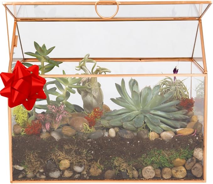 D'Eco Glass House Plant Terrarium (10