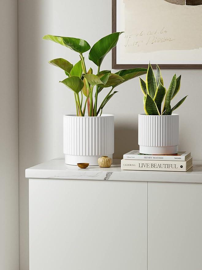 LE TAUCI Ceramic Plant Pots with Drainage Holes, Set of 3, 8+6.7+5.5 Inch Stripe Garden Planter Pots for Outdoor Indoor Plants Flower, Round Succulent Orchid Flower Pot, Small to Large Size, White