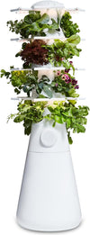 New! Lettuce Grow Farmstand Nook | 20 Plant Hydroponic System | Self-Watering Indoor Vertical Garden Planter Tower w/Pump, BPA-Free Food Grade | 4ft 7in | Made in USA…