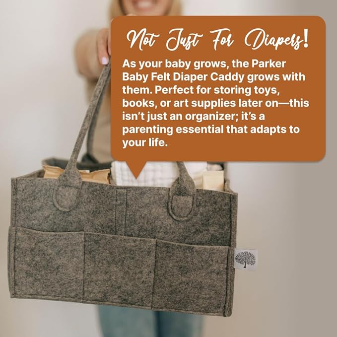 Parker Baby Diaper Caddy - Nursery Storage Bin and Car Organizer for Diapers and Baby Wipes - Charcoal, Regular