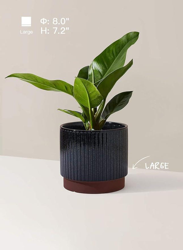 LE TAUCI Ceramic Plant Pots with Drainage Holes, Set of 3, 8+6.7+5.5 Inch Stripe Garden Planter Pots for Outdoor Indoor Plants Flower, Round Succulent Orchid Flower Pot, Reactive Glaze Black