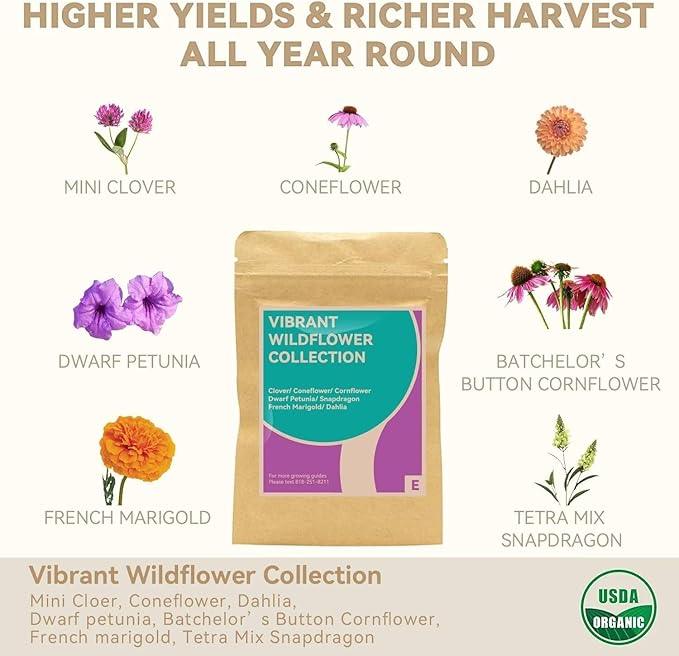 inbloom Flower Seed Pod Kit for AeroGarden, iDoo, Ahopegarden, GARDENCUBE, MUFGA Hydroponics, 7 Pods (350+ Seeds with Coneflower, Petunia, Snapdragon, French Marigold, Dahlia)