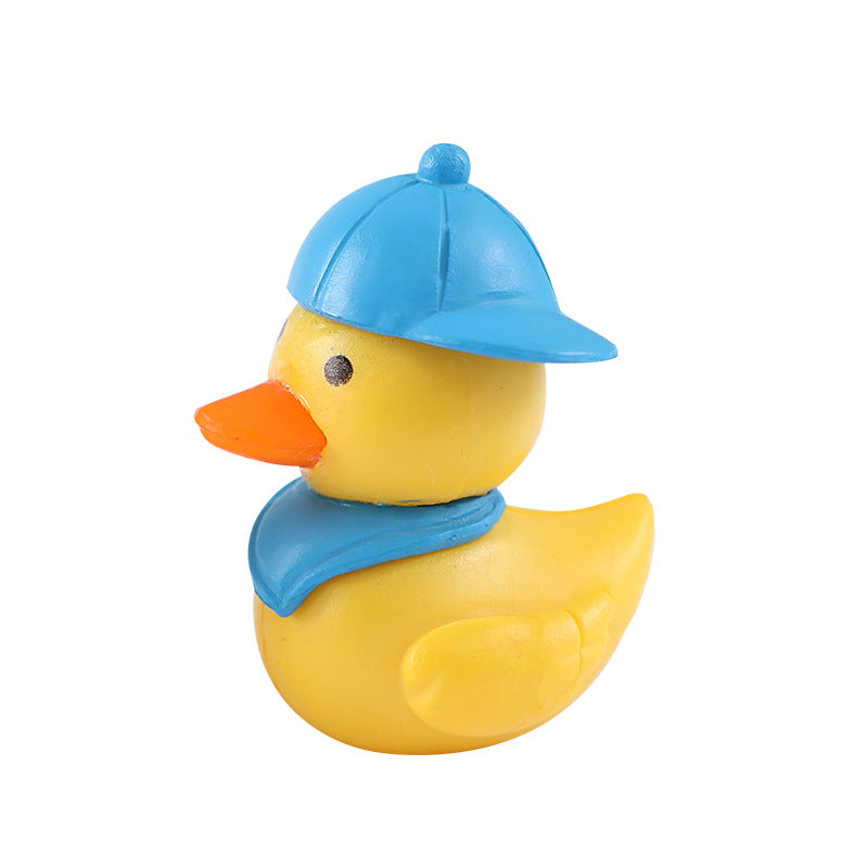 Bryophyte Miniature Landscapes, Succulent Plant Decorations, Doll Figurines, Travel Duck Souvenirs, DIY Material Kits