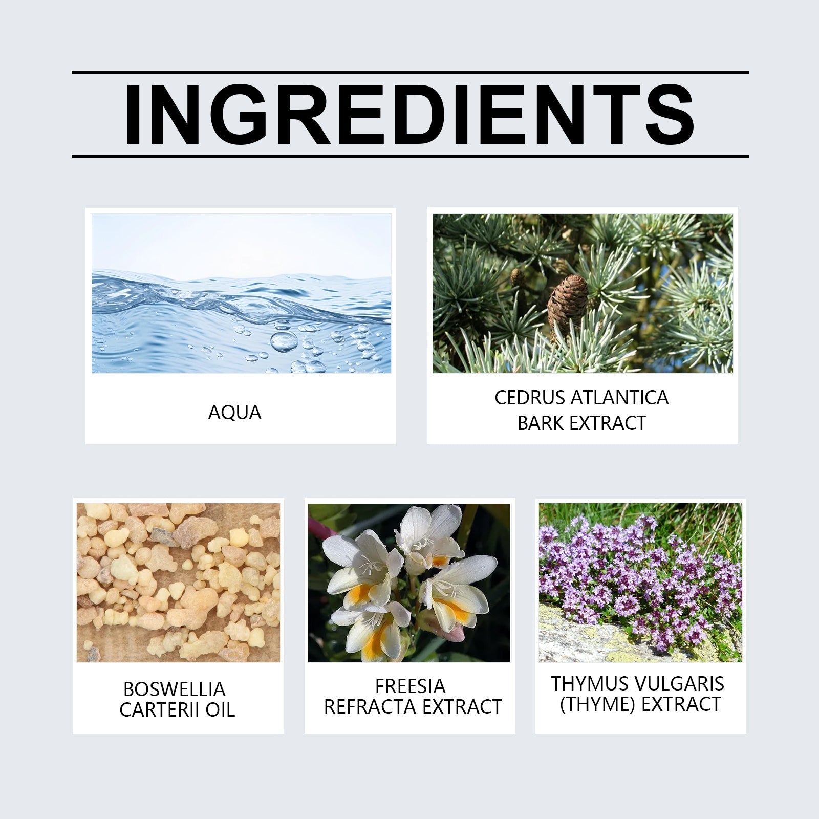 Women's Eau De Toilette Spray Delicate Light Fragrance Natural Lasting Fragrance Date Charm Atmosphere Portable Perfume