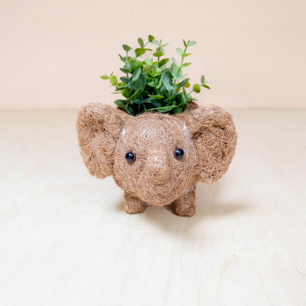 Baby Elephant Planter