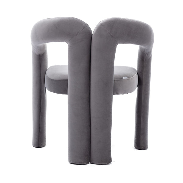 Set of 2 Contemporary Upholstered Accent Chair