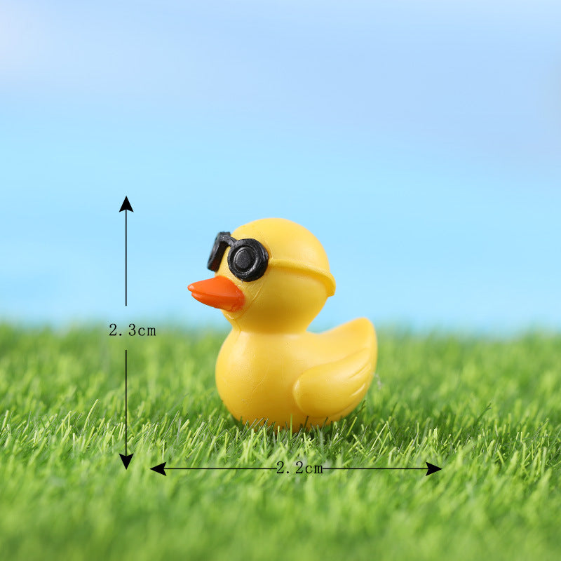 Bryophyte Miniature Landscapes, Succulent Plant Decorations, Doll Figurines, Travel Duck Souvenirs, DIY Material Kits