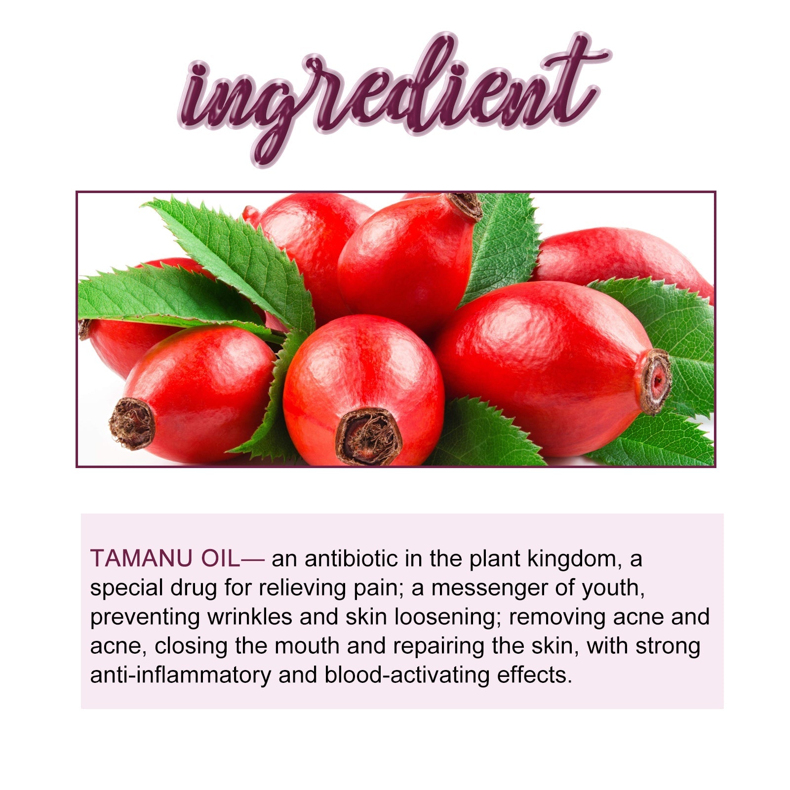 Tamanu Facial Oil, Relieves Acne Marks Fine Lines Moisturizes and Firms Skin Essential Oil