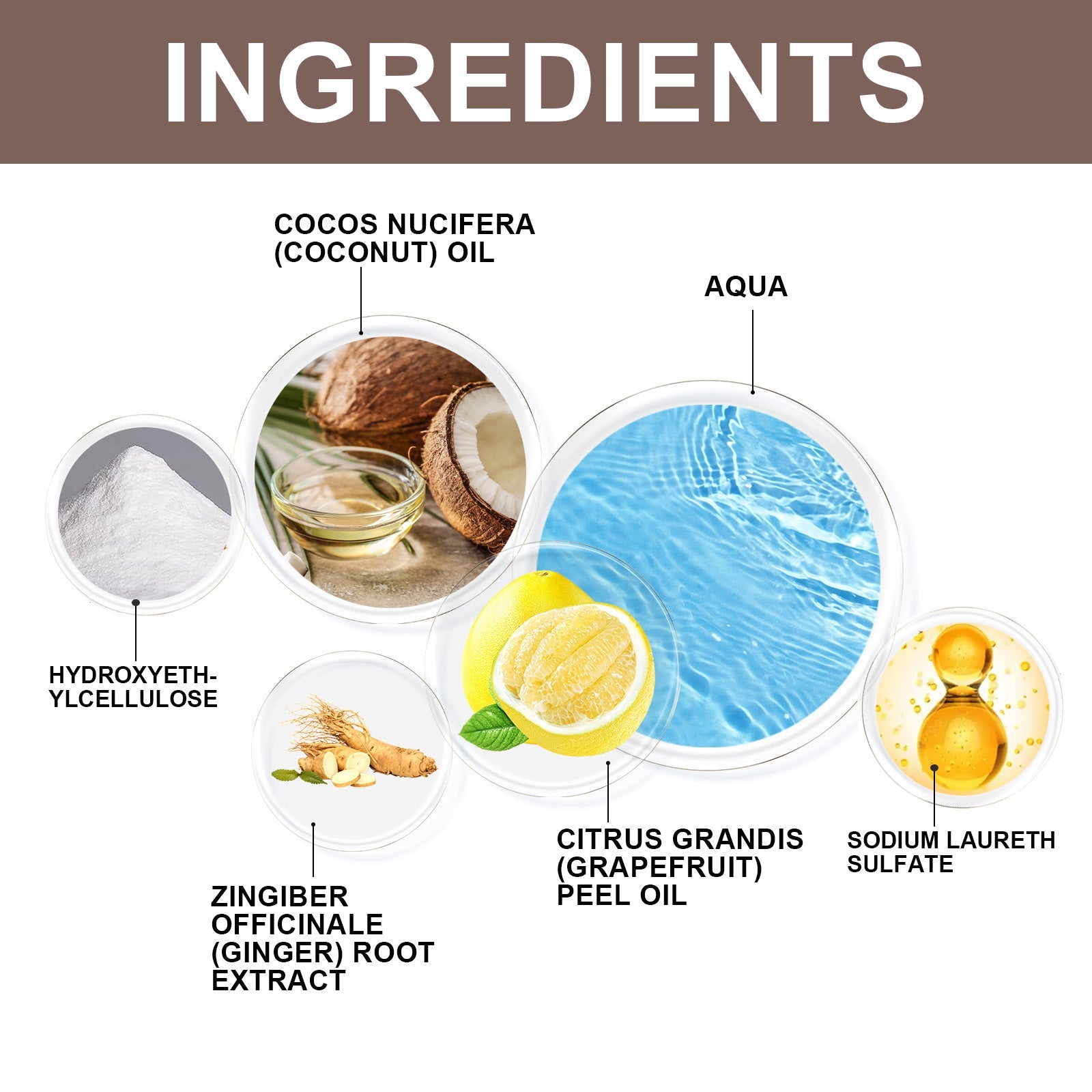 Coconut Oil Shampoo Scalp Cleansing Care Soft Shine Nourishing Hair Follicle Shampoo