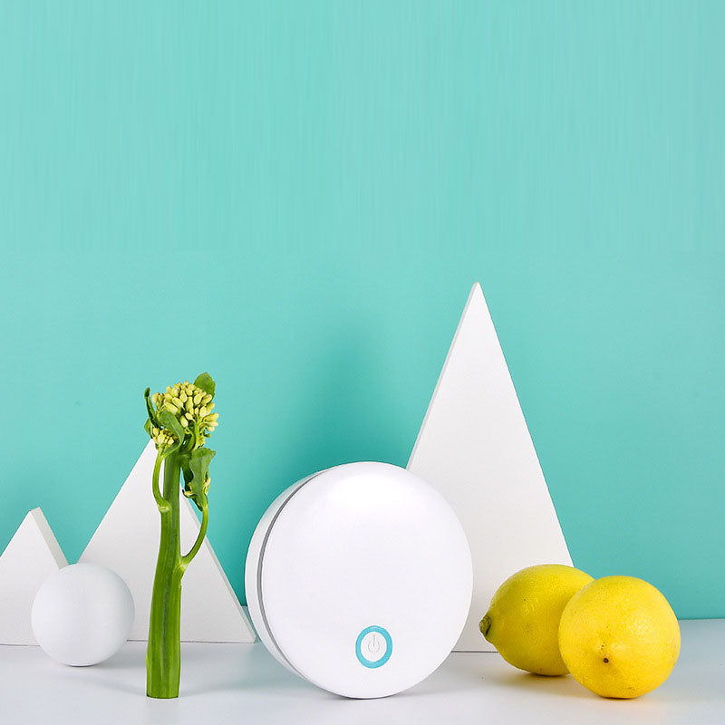 Refrigerator wardrobe shoe cabinet toilet portable pet cat bed powerful ozone disinfection machine