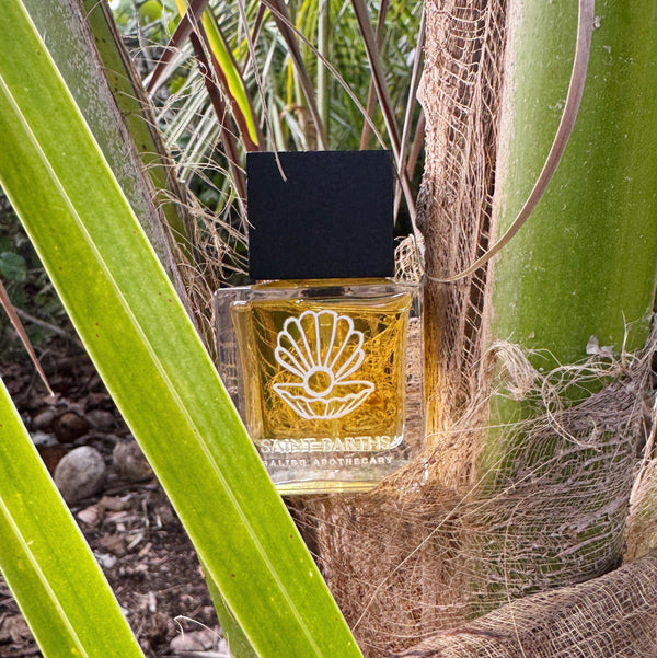 50mL | 1.7fl oz Eau de Parfum