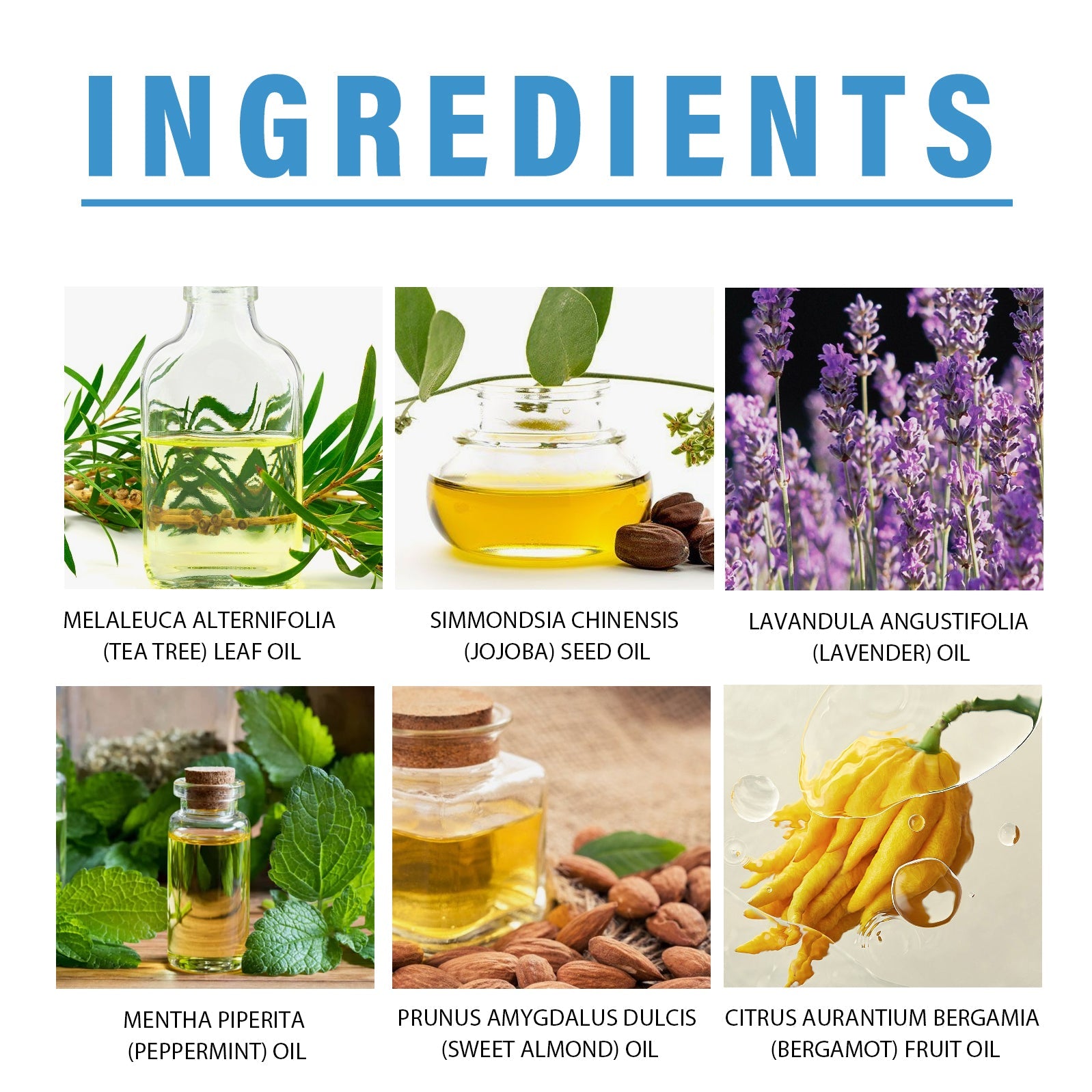 Toenail Fungus Treatment, Repair The Brotherhood Of Nails Rotten Jiasheng Mail This Soft Armour A Detailer