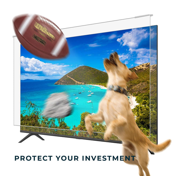 ZeroDamage Anti-Blue Light TV Screen Protector - Most 55