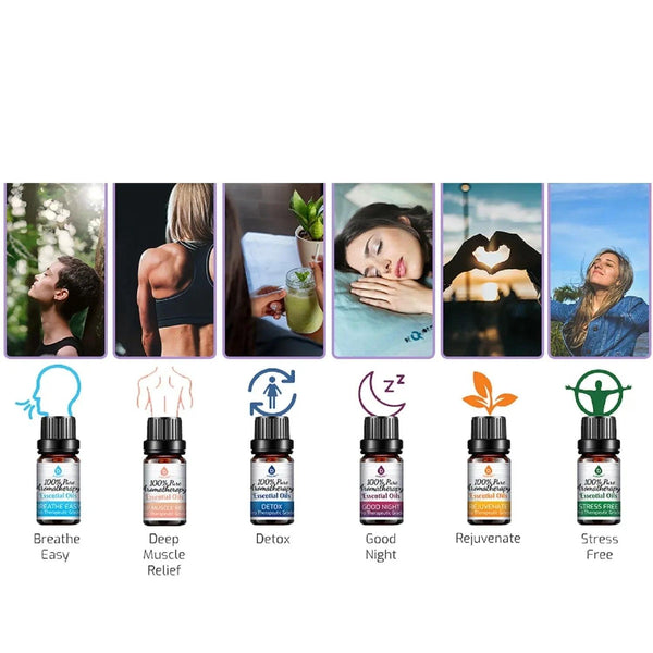 6 Pack of 100% Pure Essential Aromatherapy Oils Blends - Gifts for You 'n Me