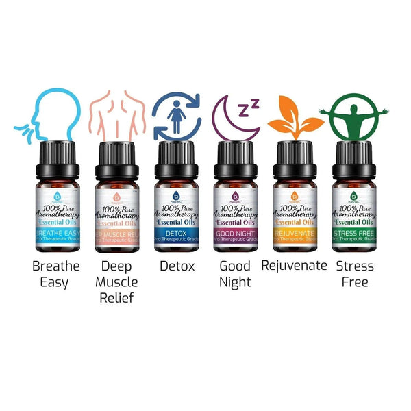 6 Pack of 100% Pure Essential Aromatherapy Oils Blends - Gifts for You 'n Me