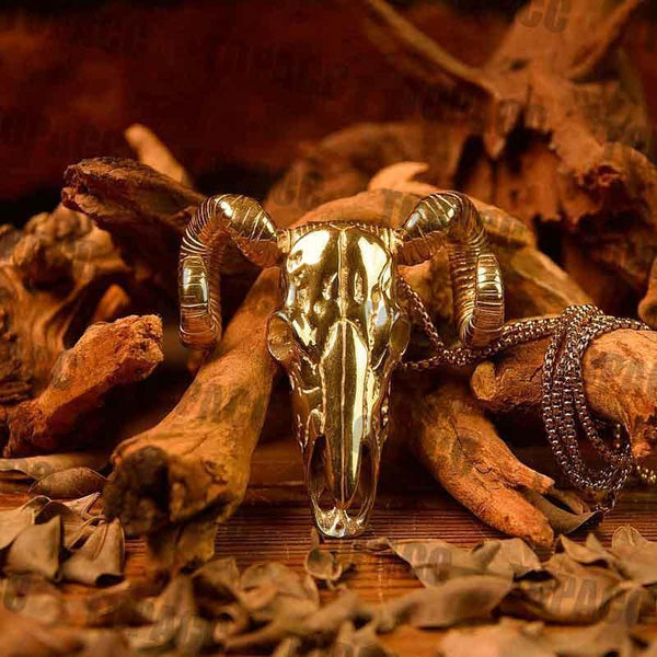 TOPACC Argali Skull - Gifts for You 'n Me