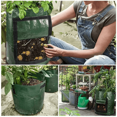 1 PCS Vegetable Grow Bag Planting Bags