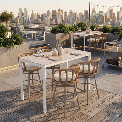 Safal Swivel Barstool Multicolor