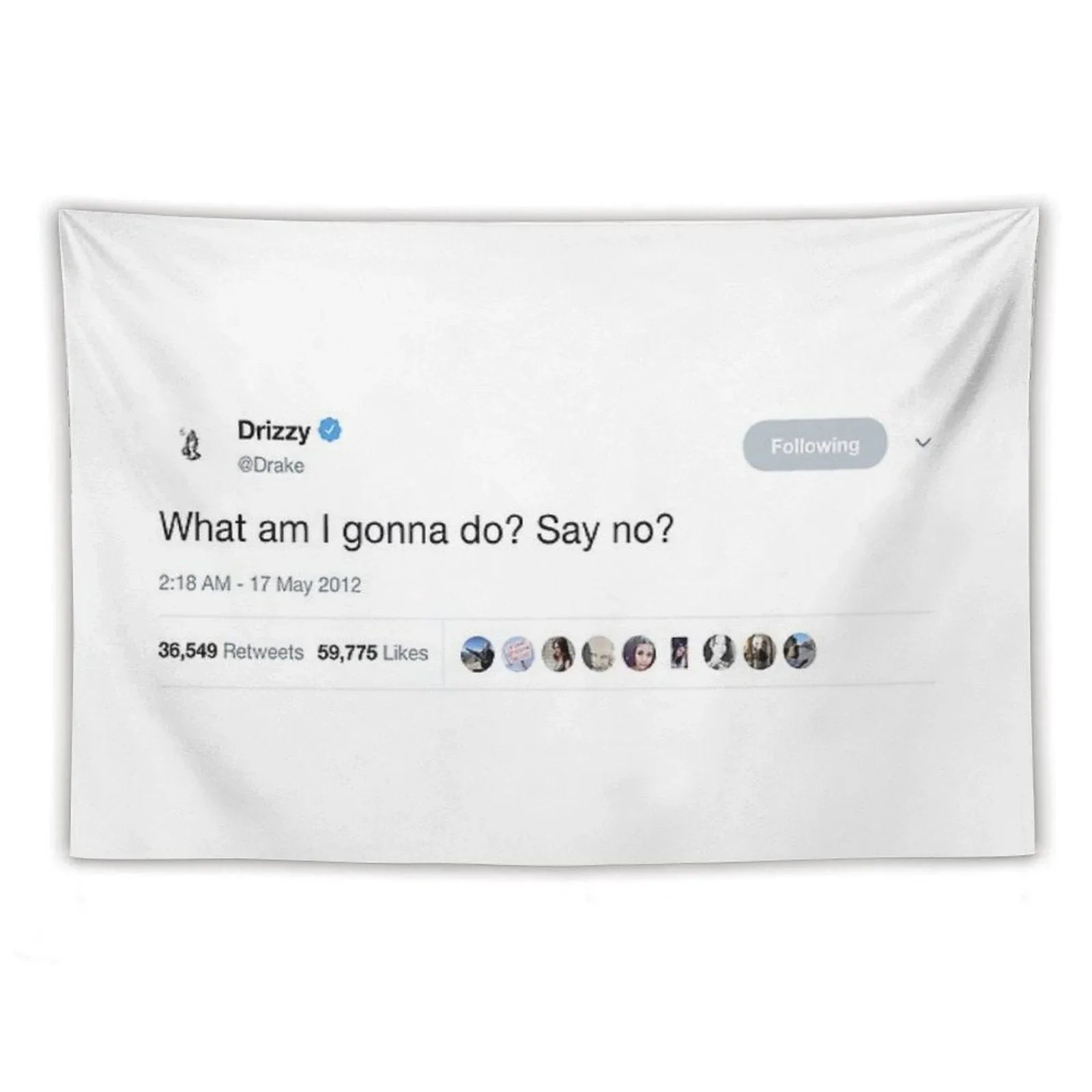 Drake - What Am I Gonna Do Say No Tweet Tapestry