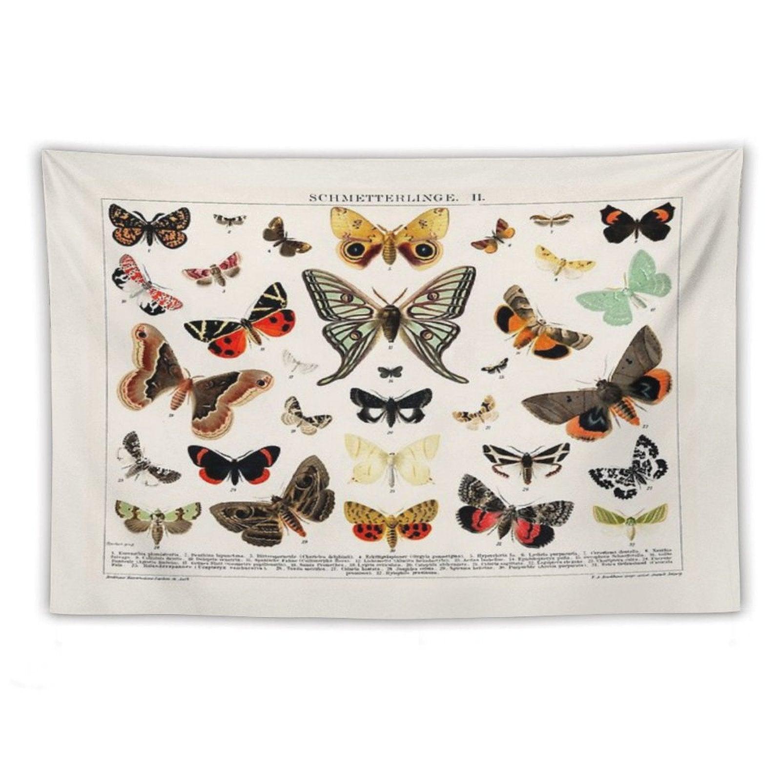 1894 Antique Butterfly Classification Illustration Tapestry
