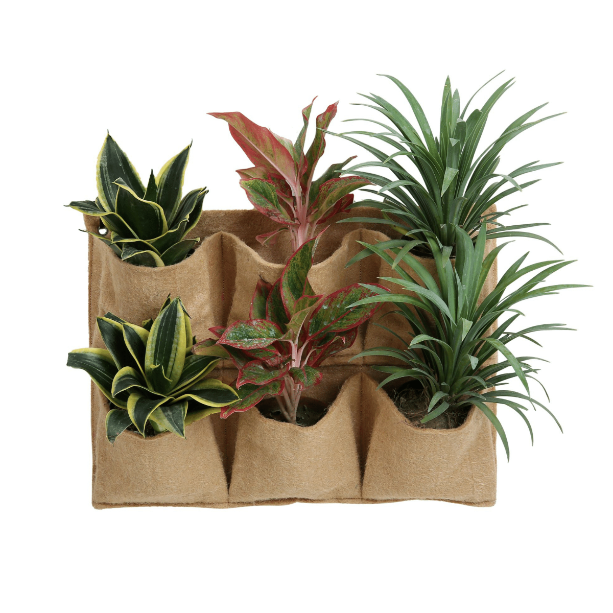 Jute Gardens 6-Pocket Vertical Living Wall Planter – Indoor/Outdoor Eco-Friendly Hanging Garden for Herbs, Flowers & Vegetables