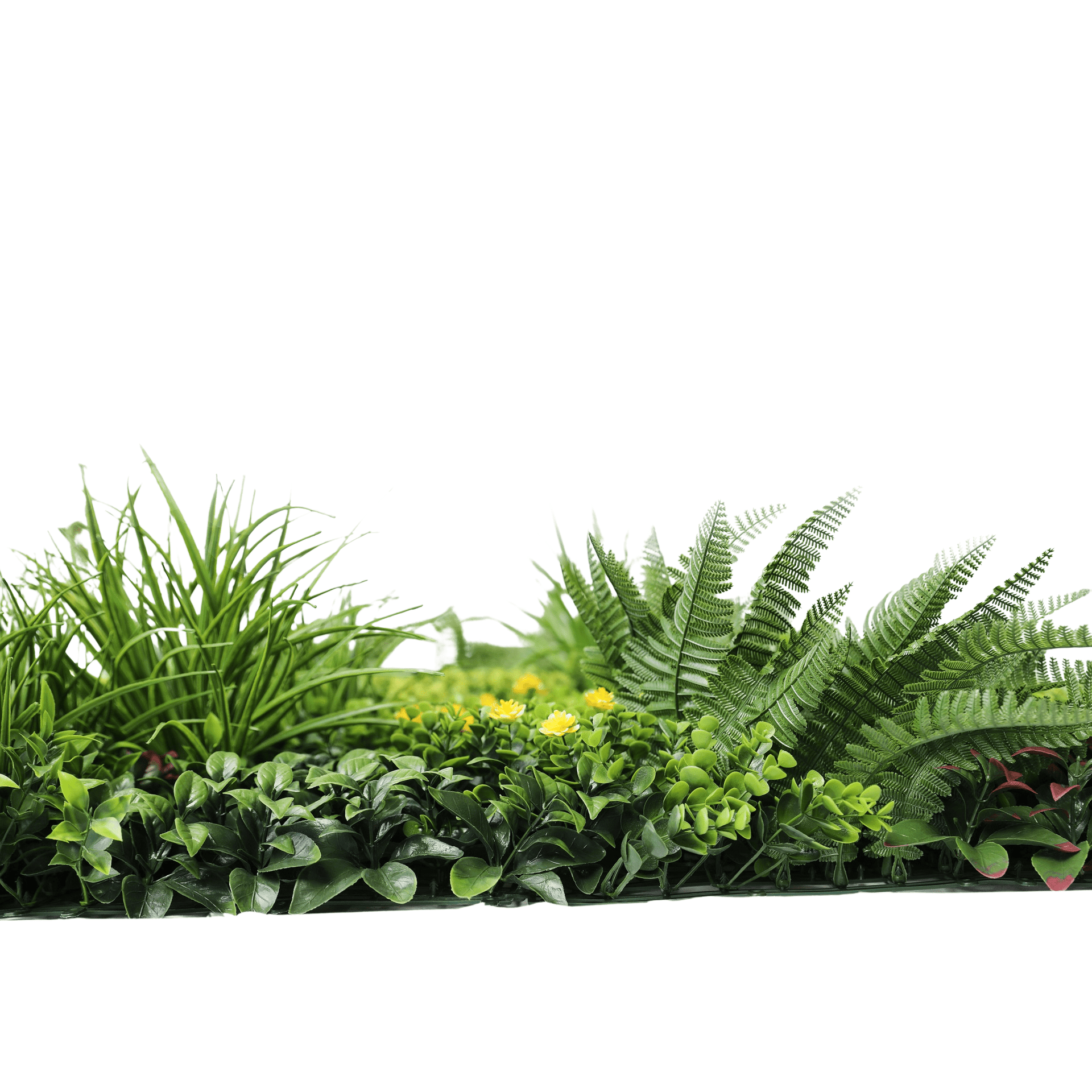 Sample Panel – Country Fern Vertical Garden (Small Sample)