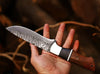 Best Knives for Hunting – 10