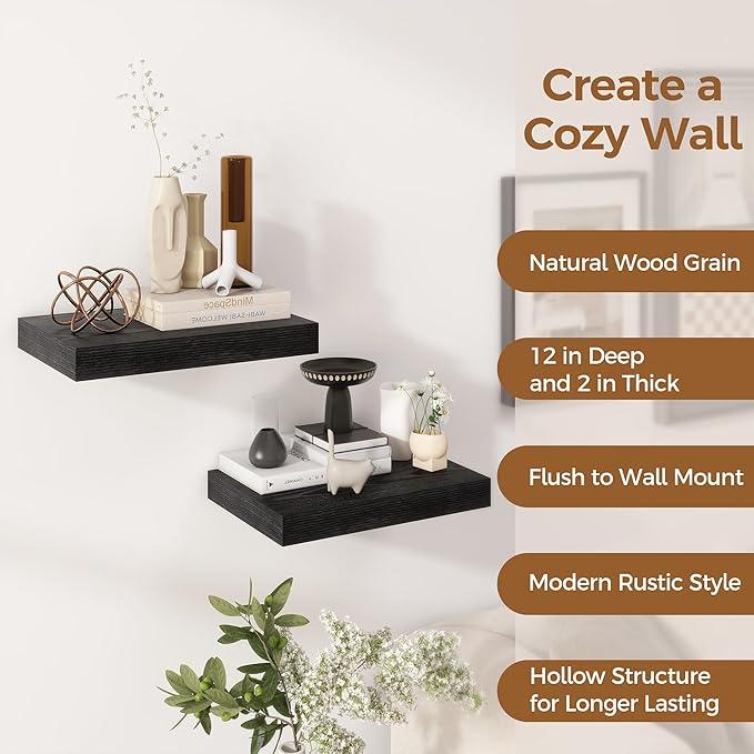 12 Inch Deep Black Floating Shelves, 16 x 12 Floating Shelf for Books, Rustic Wood Deep Wall Shelves for Home Storage & Display, 2