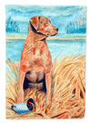 Chesapeake Bay Retriever Garden Flag – Decorative Outdoor Yard Flag