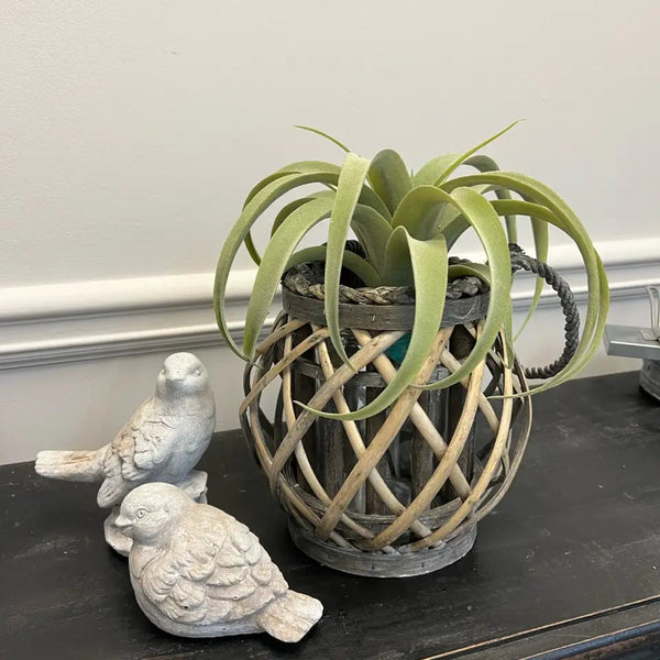 WILLOW LANTERN WITH GLASS VASE VagabondVintage