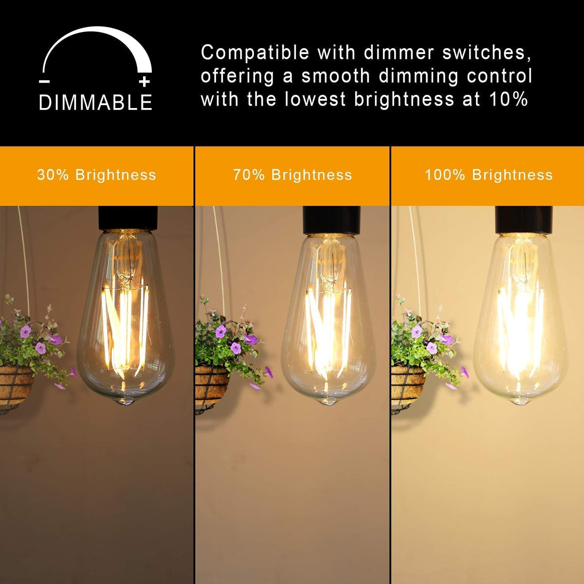 Dimmable Vintage LED Edison Bulbs, 60W, 2700K, E26, 6 Pack