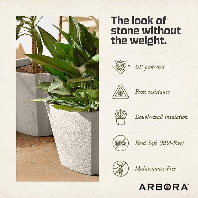 ARBORA 16