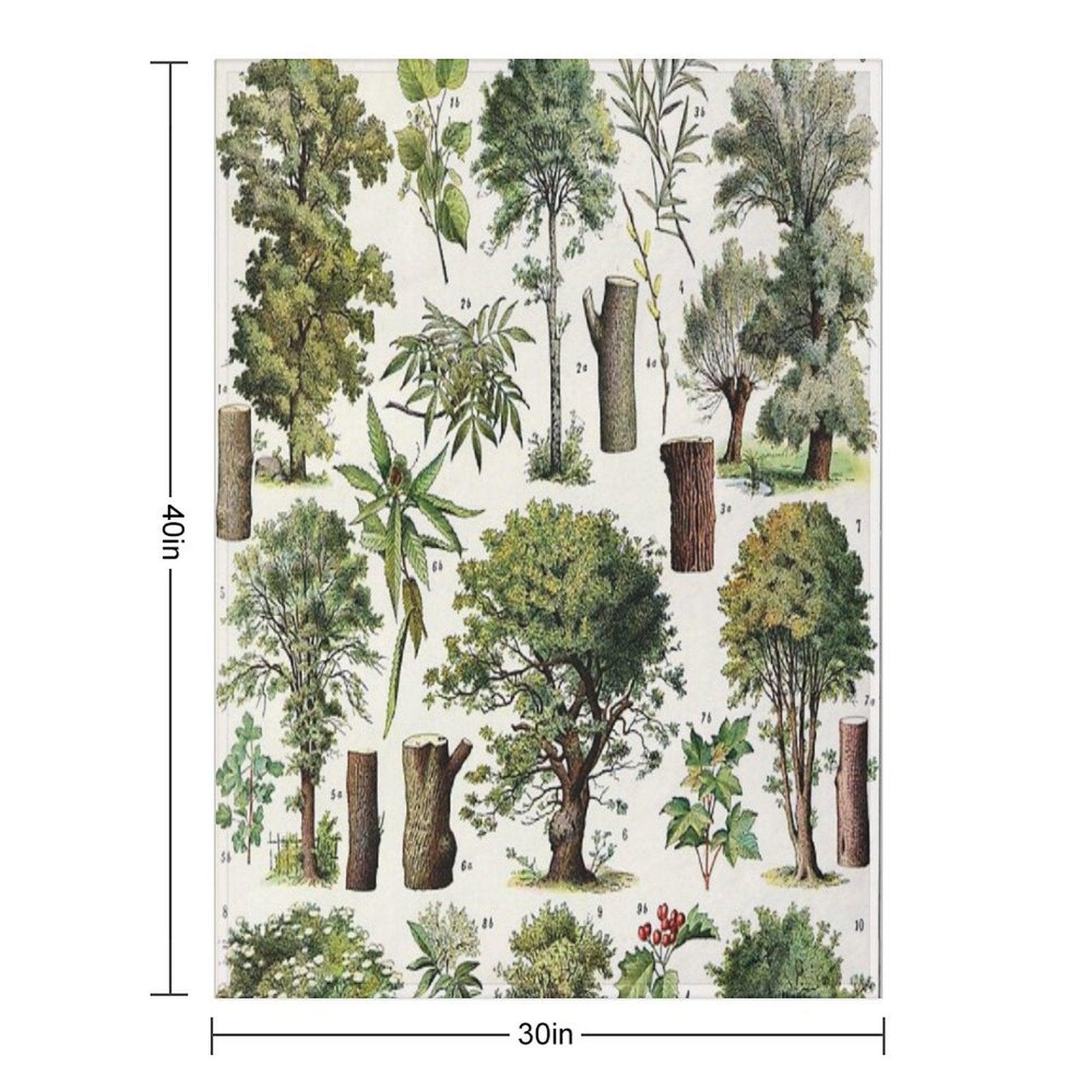 Adolphe Millot - Arbres A - French Vintage Botanical Poster Throw Blanket