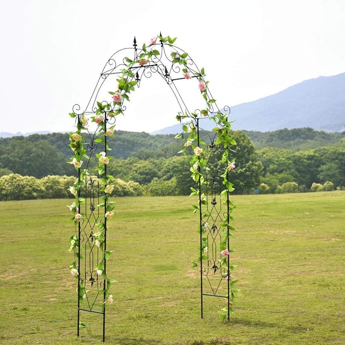 Steel Garden Arch, 8'1