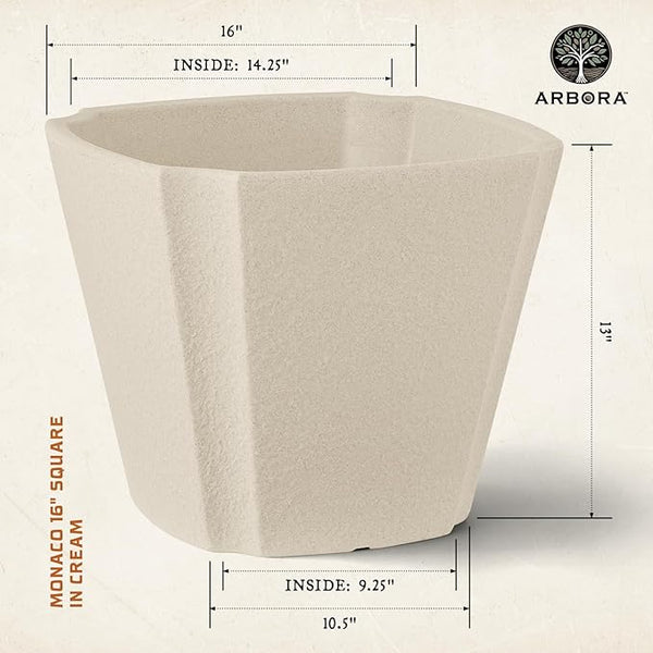 ARBORA 16