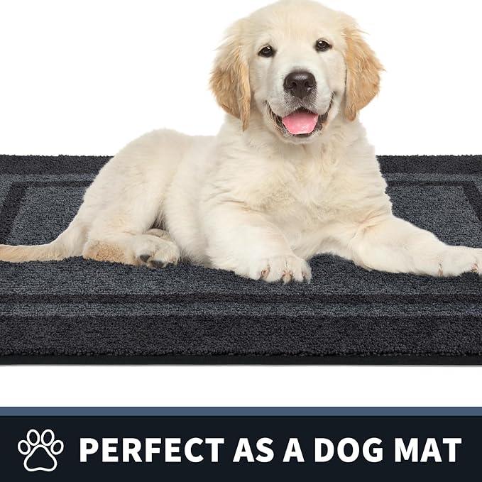 PURRUGS Dirt Trapping Door Mat 24