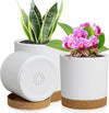 3 Pack 6/5/4 inch Cylindrical Flower Pots, Modern Small Round Plastic Plant Pots with Drainage Holes & Saucers, Clean and Refined Planter Pots for Outdoor, Indoor & Office Decor (White Brown)