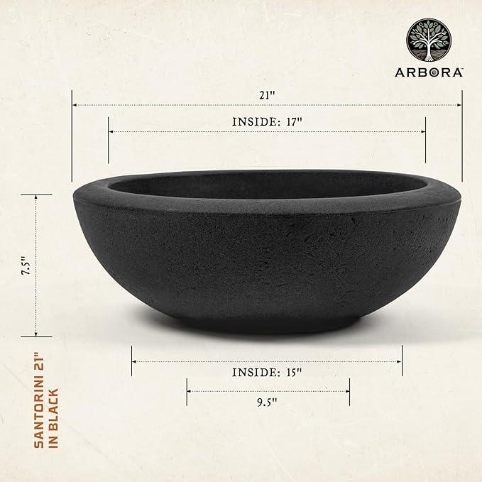 ARBORA 21