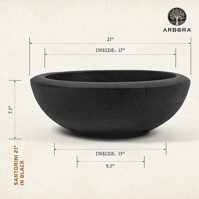 ARBORA 21
