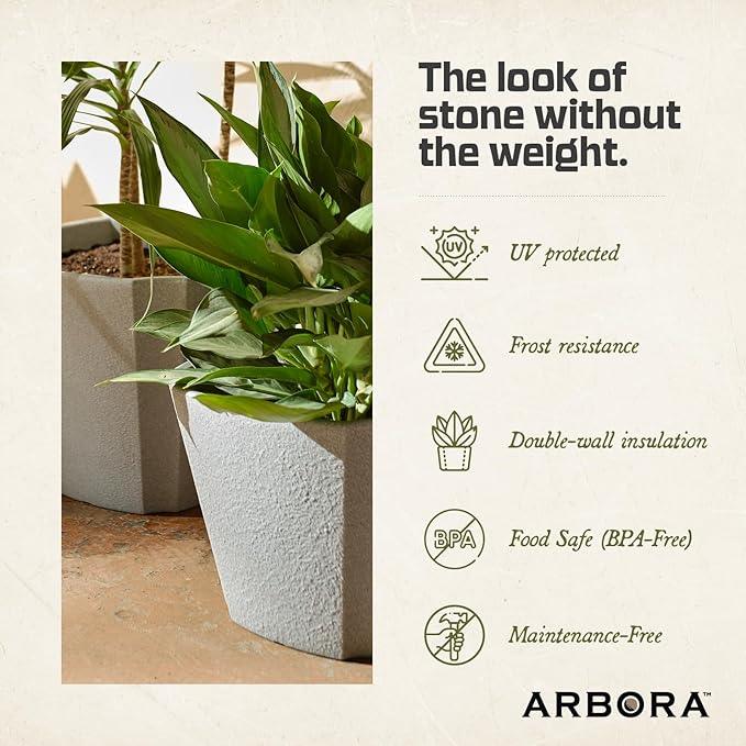 ARBORA 20