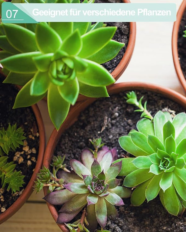 vensovo 5.7 Inch Terracotta Shallow Succulent Pot - 6 Pack Terra Cotta Clay Pots with Saucer, Cacuts Terra-Cotta Indoor and Outdoor Planters with Drainage Hole
