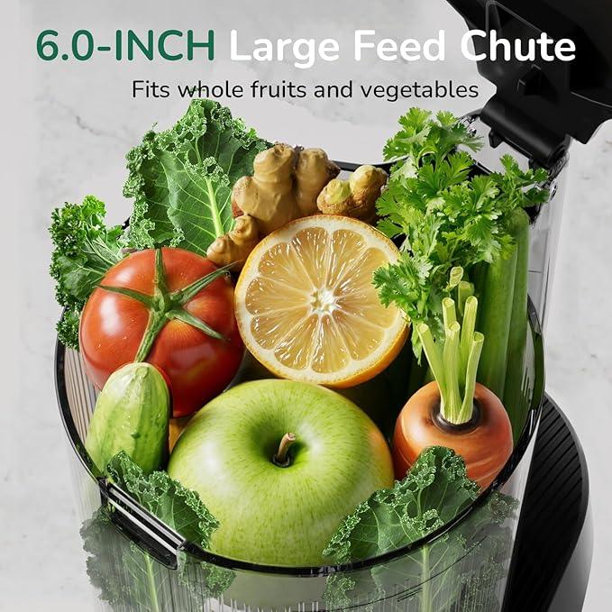 Canoly C16 Cold Press Juicer, 6