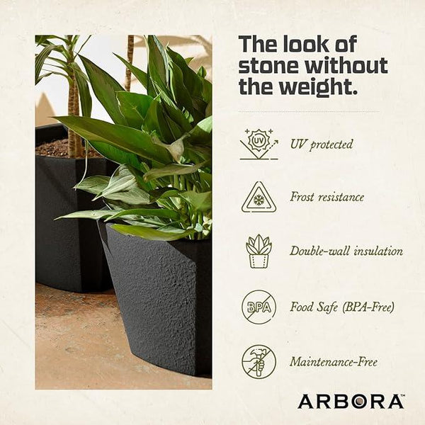 ARBORA 20
