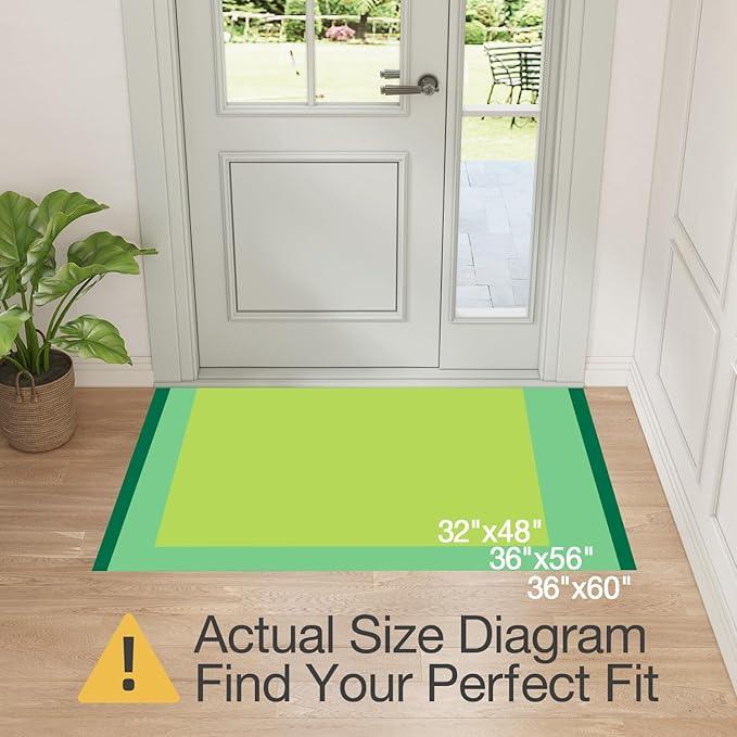 LUMI Indoor Door Mat 36
