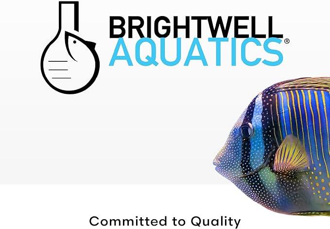 Brightwell Aquatics Rēplenish – Premium Trace & Minor Element Supplement for Marine Aquariums, Supports Healthy Fish, Corals, and Invertebrates, 2 L